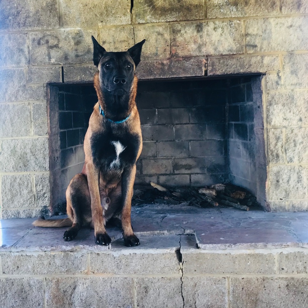 Meet your Posher, Tiffany